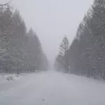 В алтайском районе закрыли дороги из-за обрушившегося снегопада