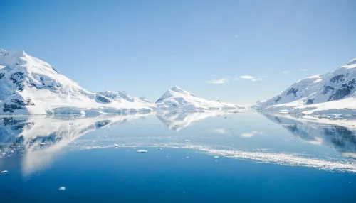 Ученые нашли новый вирус в Антарктиде, к которому у человека нет иммунитета