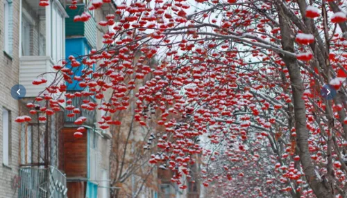 Бийск вслед за Барнаулом засыпало снегом. Фоторепортаж