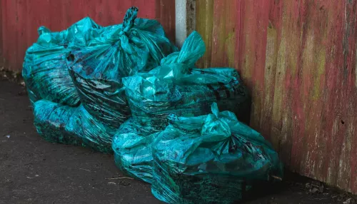 Алтайвагон планирует создать в Рубцовском районе полигон промышленных отходов