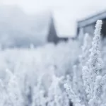 Экстремальные 40-градусные морозы ударят по Алтайскому краю в выходные