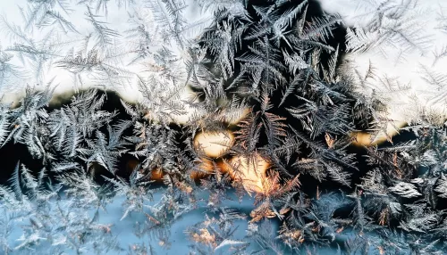 Мороз до -34 градусов ударил по Алтайскому краю 10 января