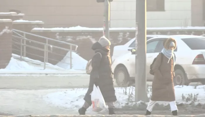 В Барнауле десятки человек получили обморожение в студеную погоду