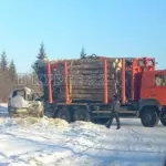 В Алтайском крае пенсионер на Ниве влетел в лесовоз