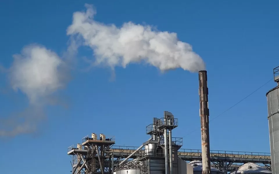 Жители алтайского села жалуются на вредные выбросы с местного завода