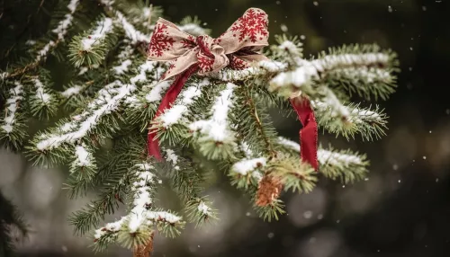Теплая и снежная новогодняя ночь ждет жителей Алтайского края
