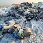С приходом нового регоператора мусор из Алейска все-таки повезли в Усть-Калманку