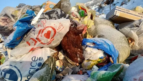 Страдания по мусору: в Алтайском крае продумывают варианты перемещения отходов