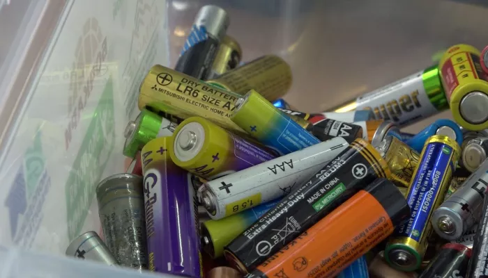 В алтайский школах и вузах собирают батарейки, чтобы спасти ёжиков и природу