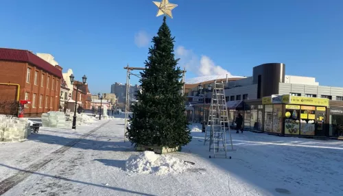 В Барнауле на Мало-Тобольской установили новогоднюю елку