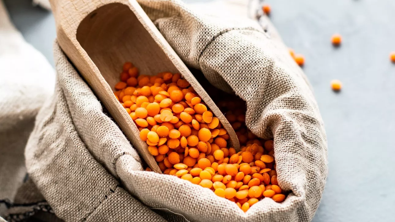 Война и рынки: просядут ли поставки алтайской сельхозпродукции на Ближний Восток