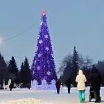На главной новогодней площади Бийска приступили к сбору каркаса 20-метровой ели