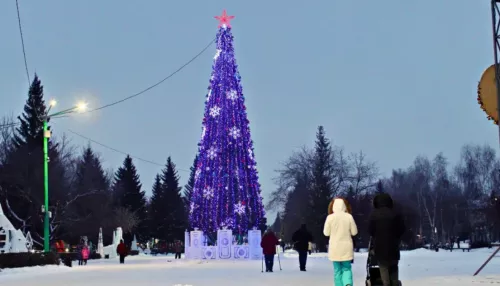 На главной новогодней площади Бийска приступили к сбору каркаса 20-метровой ели