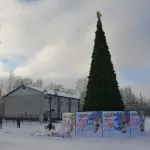 В Барнауле на площади Мира устанавливают 12-метровую елку