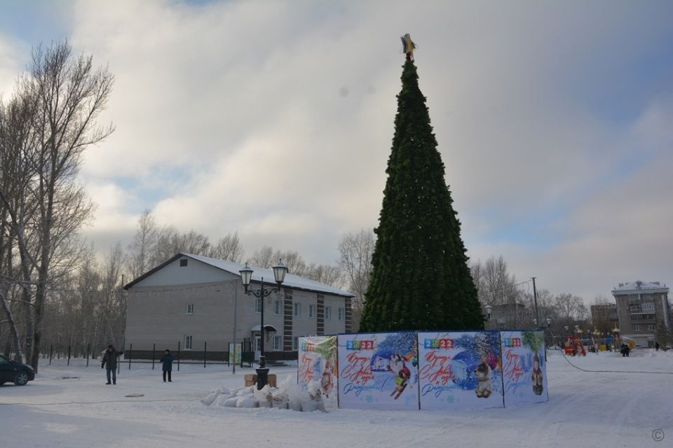 Елка на площади Мира