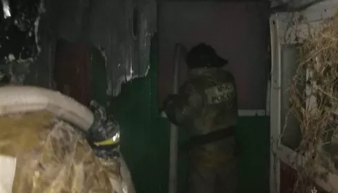 В Алтайском крае семью спасли через окно из горящего дома