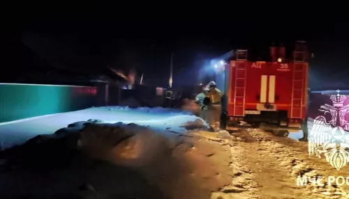 В Рубцовске многодетная семья чудом спаслась из горящего дома