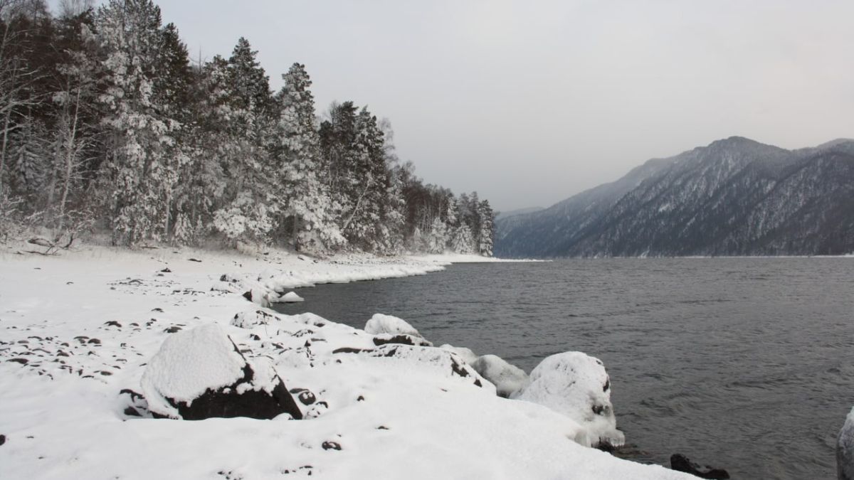 Телецкое озеро зимой