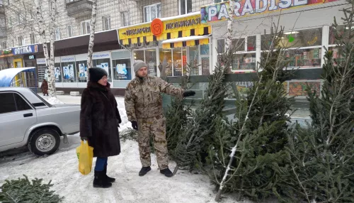 Елки-палки: что происходит на елочных базарах Барнаула и как выросли цены