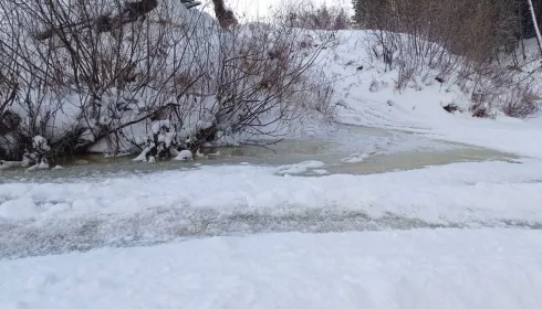 Проблема сливов нечистот в реку Барнаулку дошла до Госдумы