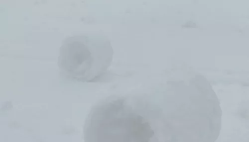 Жители Алтая поразились удивительным снежным цилиндрам