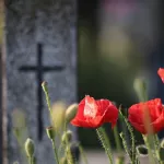 Неизвестные осквернили могилу погибшего на СВО алтайского бойца