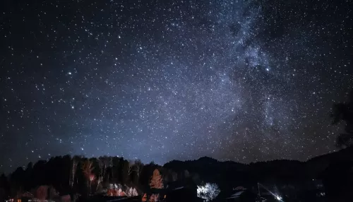 В Алтайском заповеднике показали потрясающее звездное небо над Телецким озером