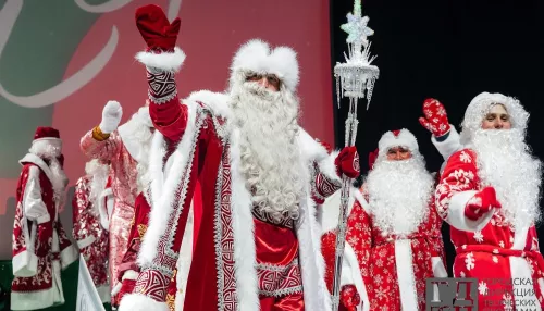 Деды Морозы со всей России встретились у новогодней елки в Новосибирске