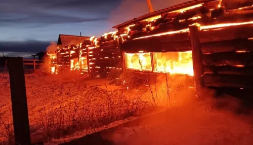 Десятки коров и телят погибли при пожаре в Республике Алтай
