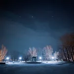 Бассейн, костровище и беседки. Каким будет новый парк в лесу рядом с Барнаулкой