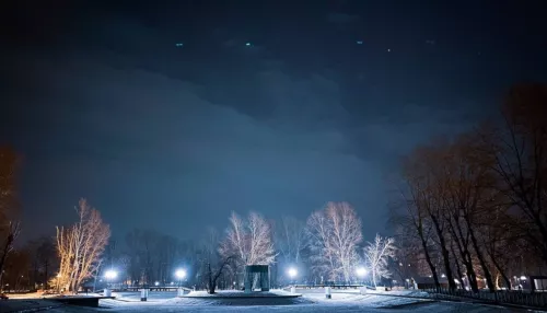 Бассейн, костровище и беседки. Каким будет новый парк в лесу рядом с Барнаулкой