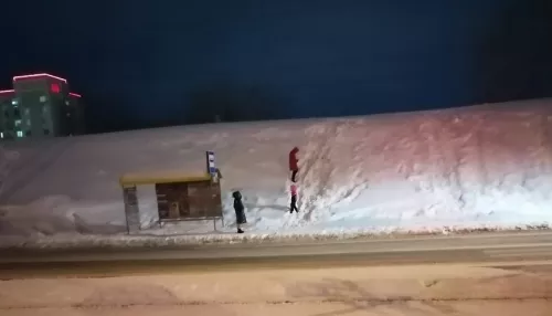 Барнаульцы на четвереньках лезут по снежной горе с остановки