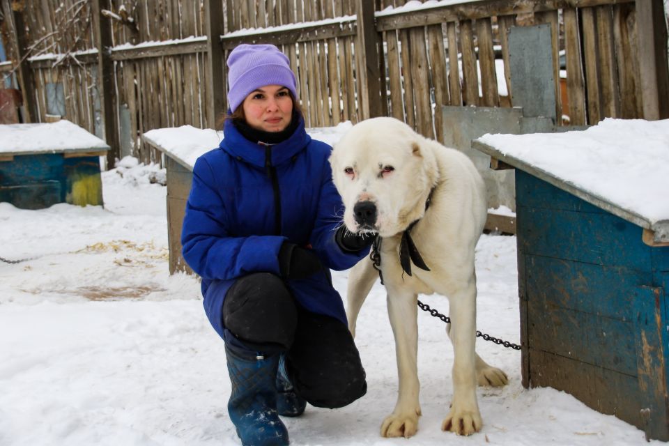 Волонтер Наталья Панова с алабаем, попавшим в приют "Ласка"