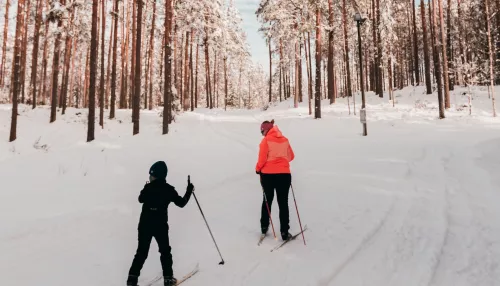 Где покататься на лыжах в Барнауле на новогодних праздниках. Карта