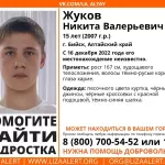 В Алтайском крае возбудили дело об убийстве после исчезновения подростка