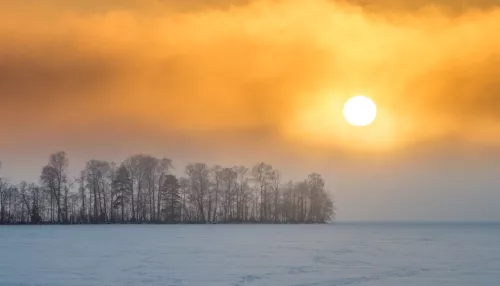В Алтайском крае в начале февраля ожидается серия вспышек активности на Солнце