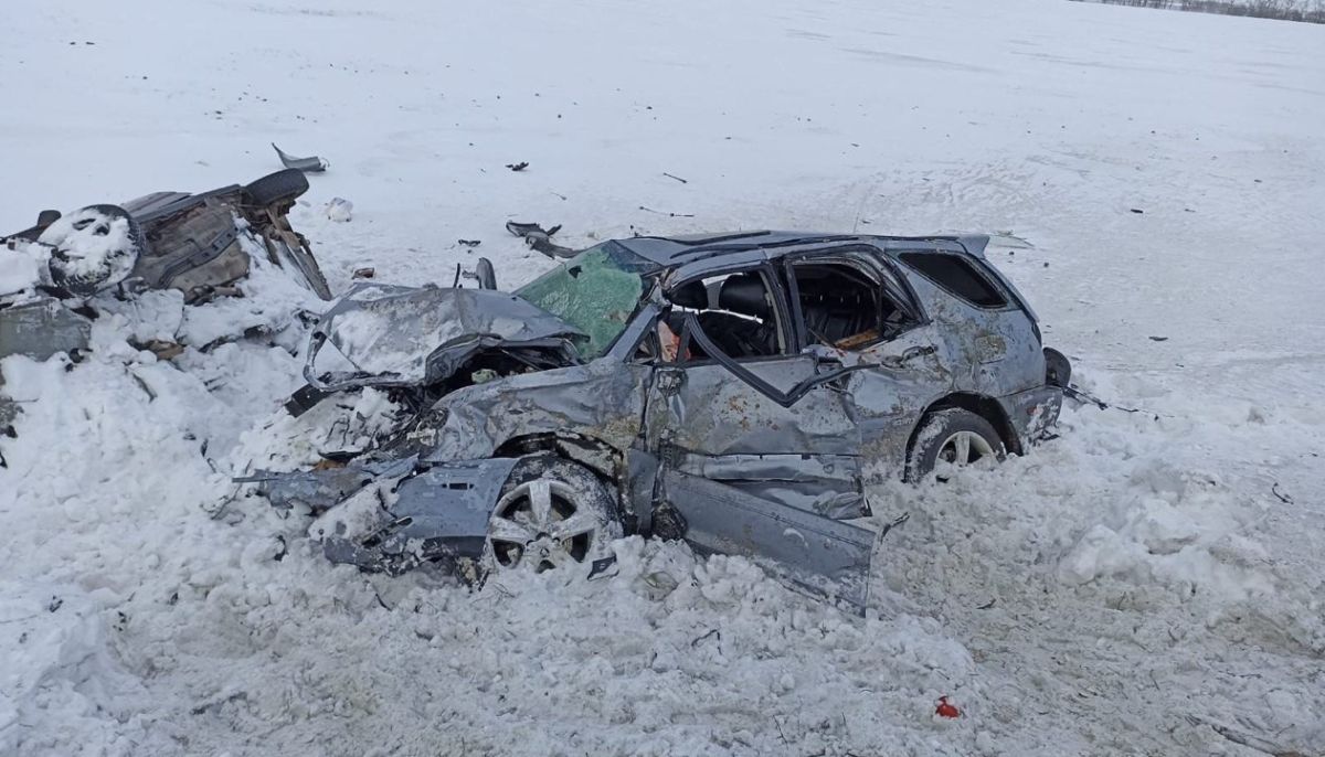 Число погибших в смертельном ДТП в Алтайском крае возросло до пяти - Толк  03.01.2023