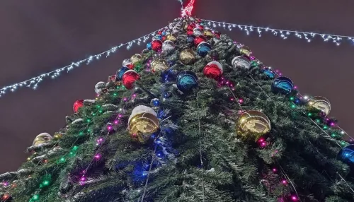 Стало известно, кто получит подарки к Новому году от соцзащиты Алтайского края