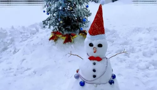 Жители Алтайского края показали своих снеговиков после снежных дней
