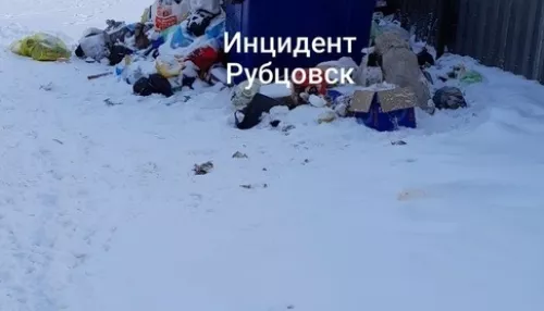 В Рубцовске нарастает мусорный коллапс, несмотря на покупку техники