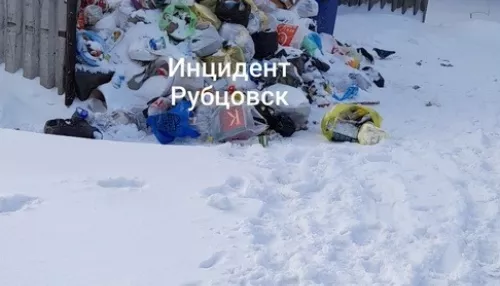 Глава Рубцовска потребовал убрать мусорные свалки в городе