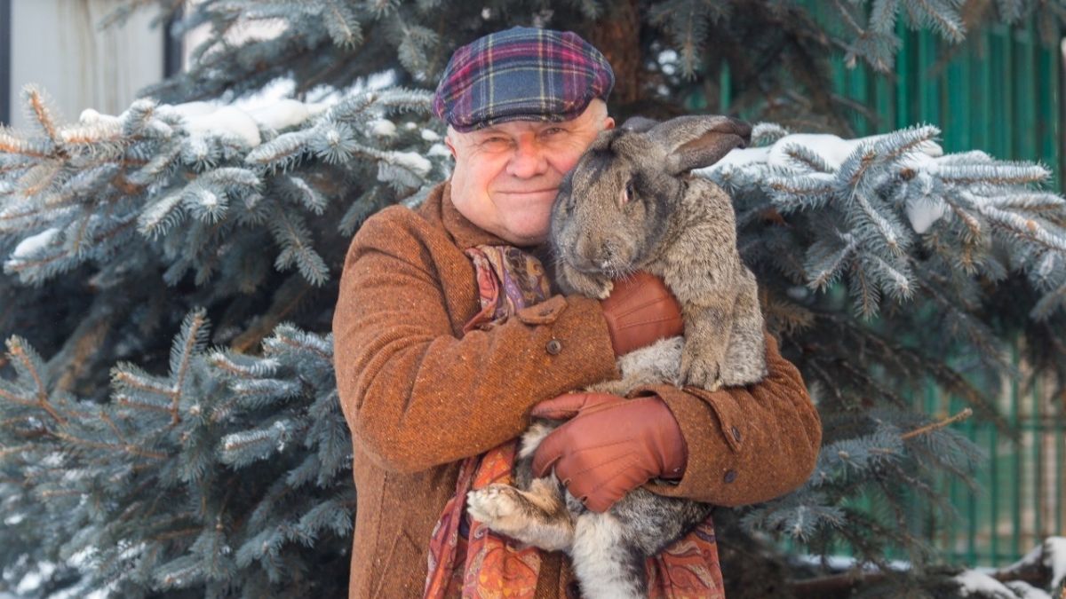 Сергей Писарев с кроликом