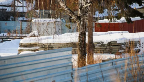 Жители Литерного в Барнауле обеспокоились судьбой деревьев на соседней стройке