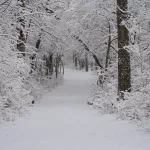 Крионист: Усольцевы могли замерзнуть насмерть и не понять этого