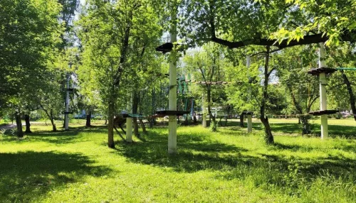 Хозяина Веревкино-Парк в Новоалтайске приговорили к обязательным работам