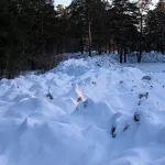 50 оттенков белого: как выглядит барнаульское снегохранилище. Фоторепортаж