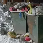 Мэр Рубцовска назвал истинную причину мусорного коллапса в городе
