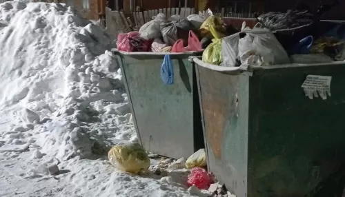 Жители Новоалтайска пожаловались на кучи мусора, регоператор дал им ценный совет