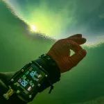 Дайверы показали, как выглядит подводный мир Телецкого озера зимой. Фото