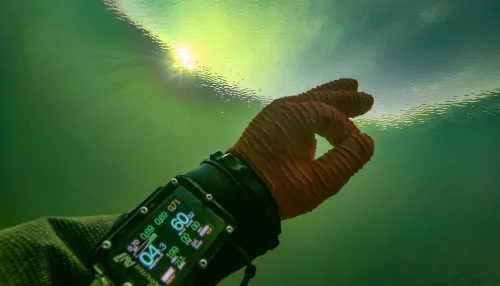 Дайверы показали, как выглядит подводный мир Телецкого озера зимой. Фото
